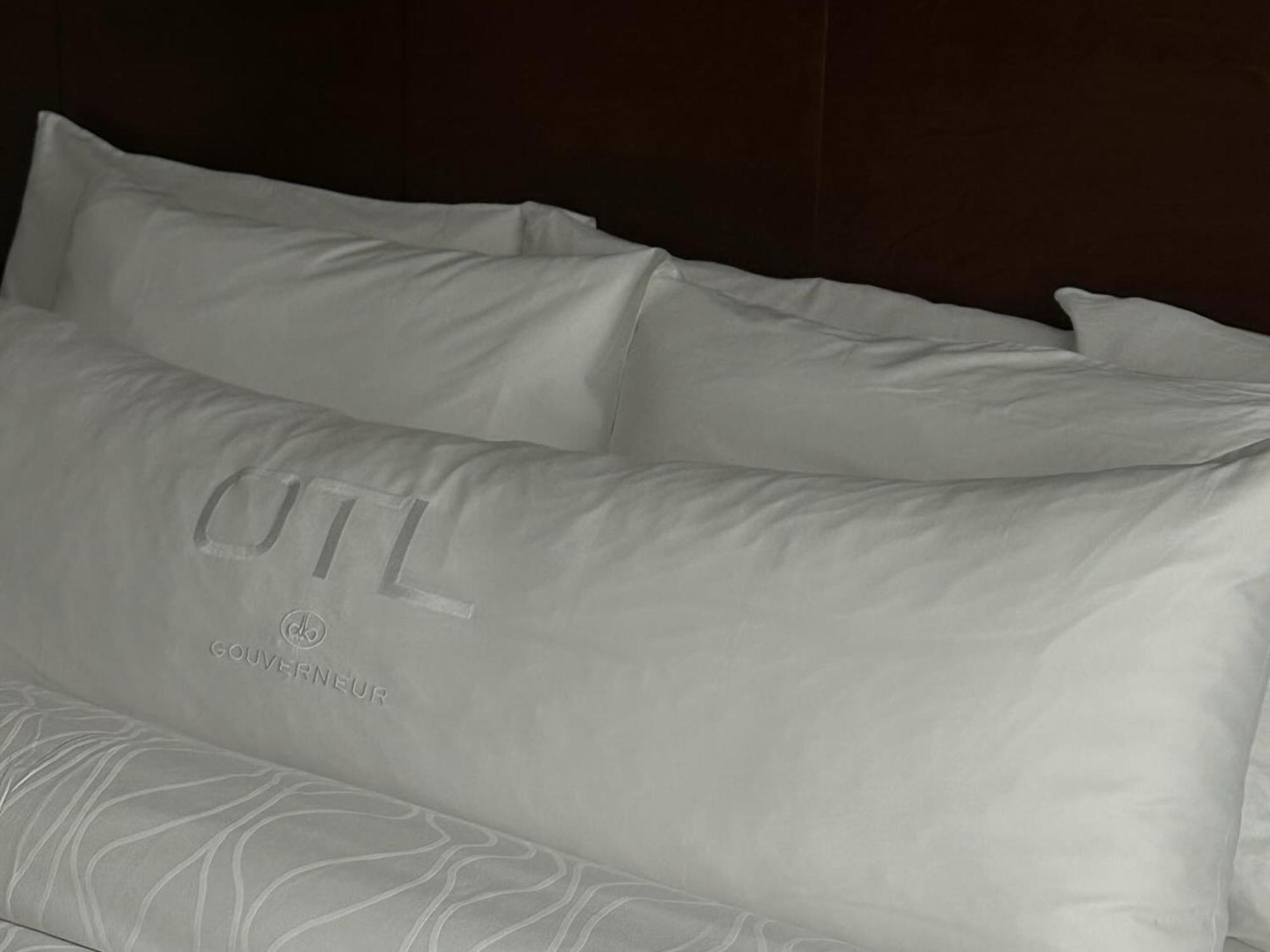 Otl Gouverneur Chicoutimi Exteriér fotografie A pillowcase